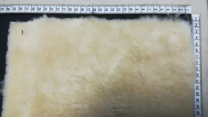 Domestic Fabric