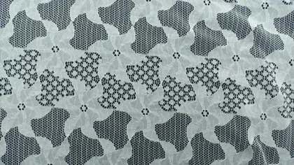 Heat-set Cotton Nylon Imported Lace · 150 cm