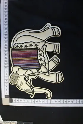 Multicolor Polyester Imported Collar Appliqué