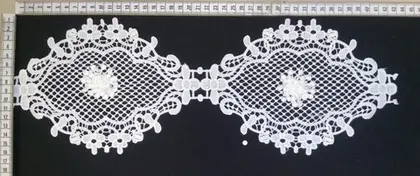 3970 Imported Broderie Guipure Matte Band Raw Polyester