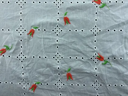 Coral Bohrer Embroidered Ground Cotton Domestic Broderie Voile · 135 cm