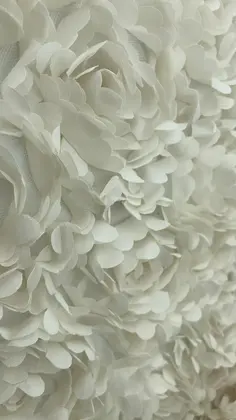 Kumaş · İthal · Lez · Tül Üzeri · Polyester · Bej · 150 Cm