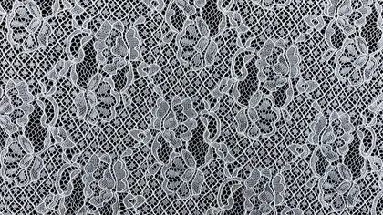 Greige Corded Nylon Domestic Lace