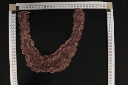 Dusty Rose Embroidered Polyester Collar