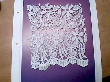 Greige Matte Polyester Imported Broderie