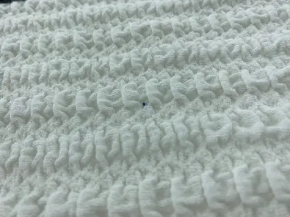 White Cotton Domestic Lace · 170 cm