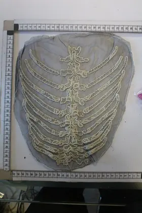 Ecru Imported Collar
