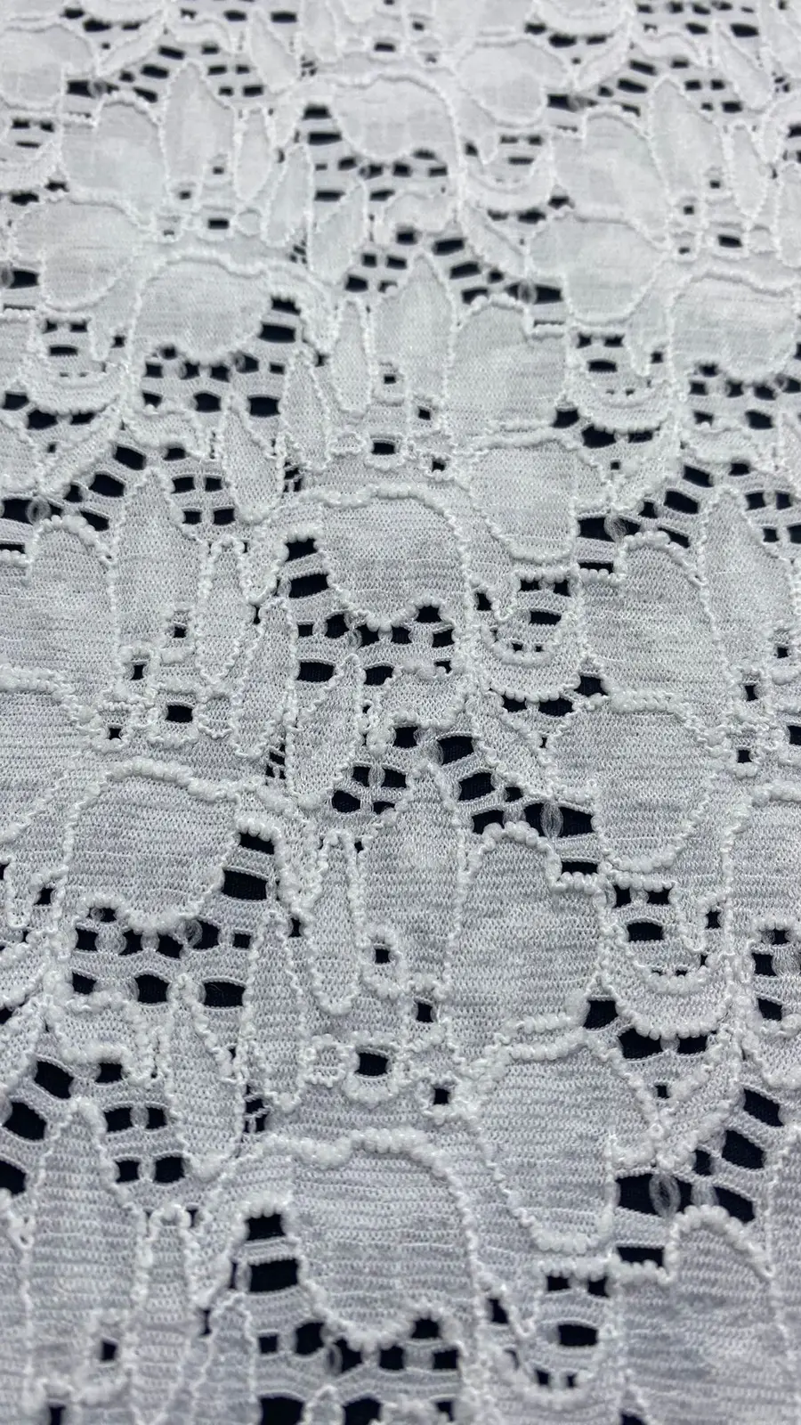 Heat-set Lycra Nylon Imported Lace · 150 cm