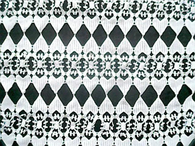 Greige Polyester Broderie