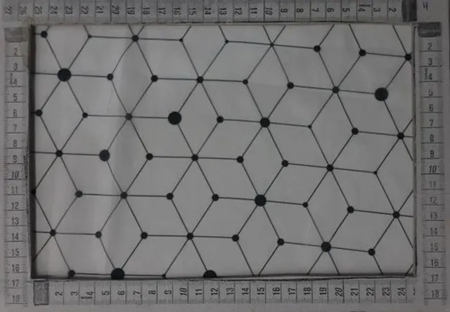 Beyaz Baskılı Polyester Yerli Dantel Şifon · 150 cm