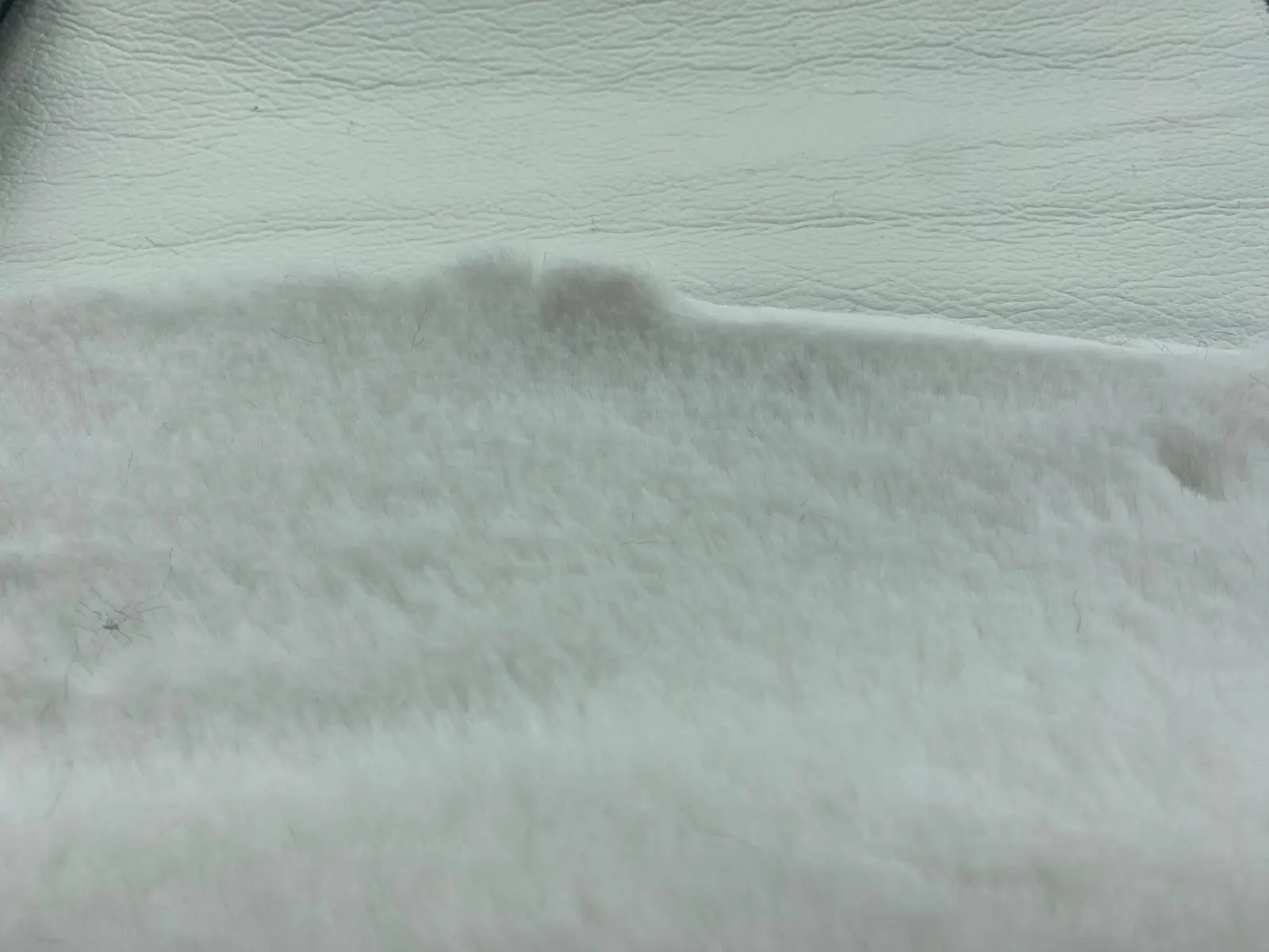 Krem Polyester İthal Kumaş · 150 cm